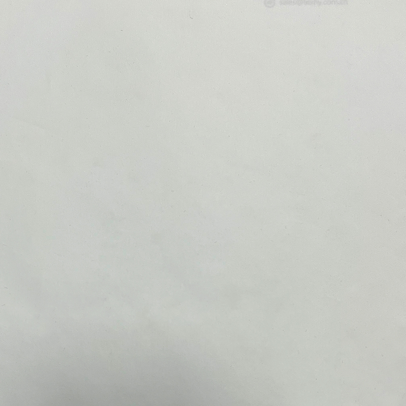 Spring Asian White Coating Clothing Fabric Fabric